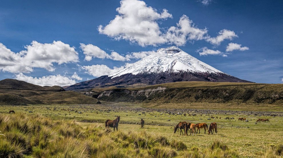 Cotopaxi National Park, Cotopaxi Province, Ecuador